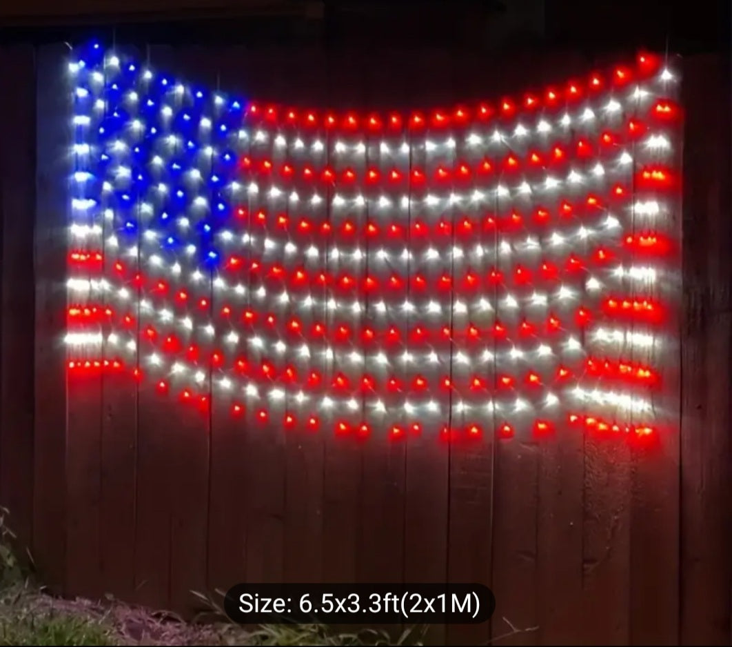 American Flag Net Led Light