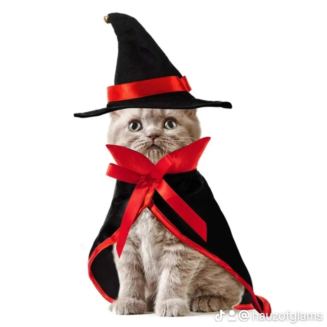 Halloween wizard pet costume