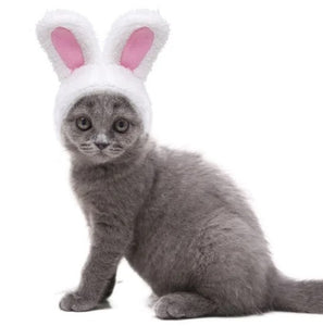 Pet Bunny Hat