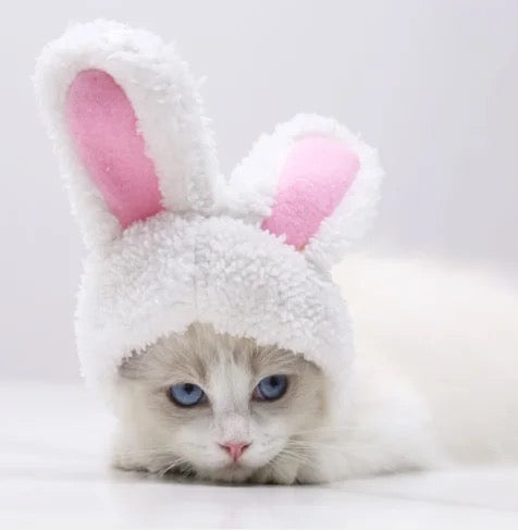 Pet Bunny Hat