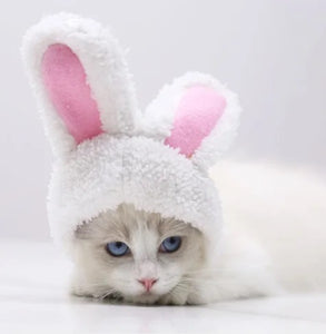 Pet Bunny Hat