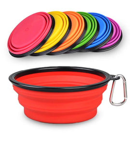 Collapsible Pet Bowl