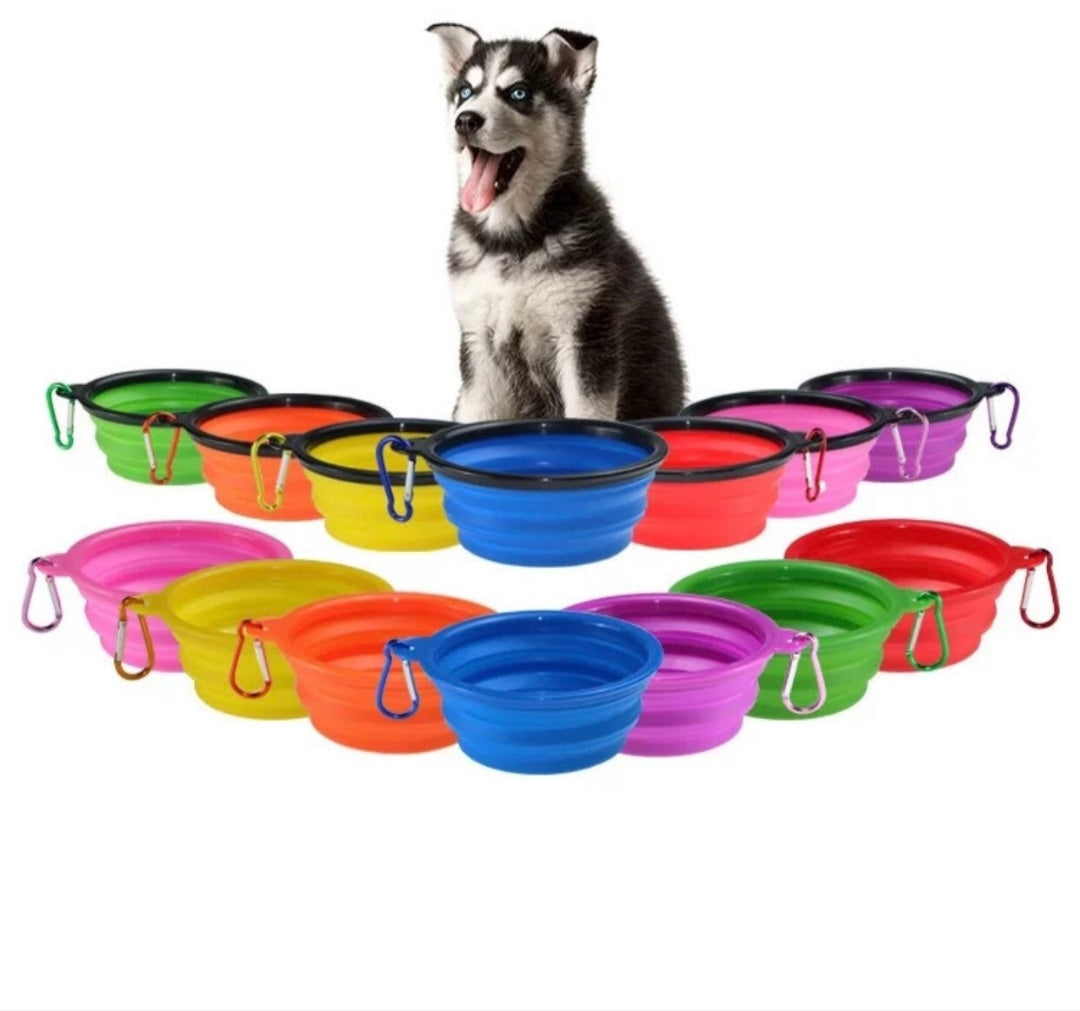 Collapsible Pet Bowl