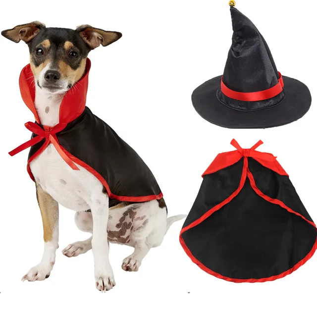 Halloween wizard pet costume