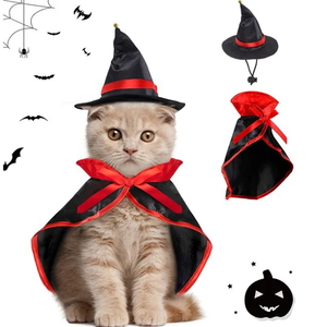 Halloween wizard pet costume