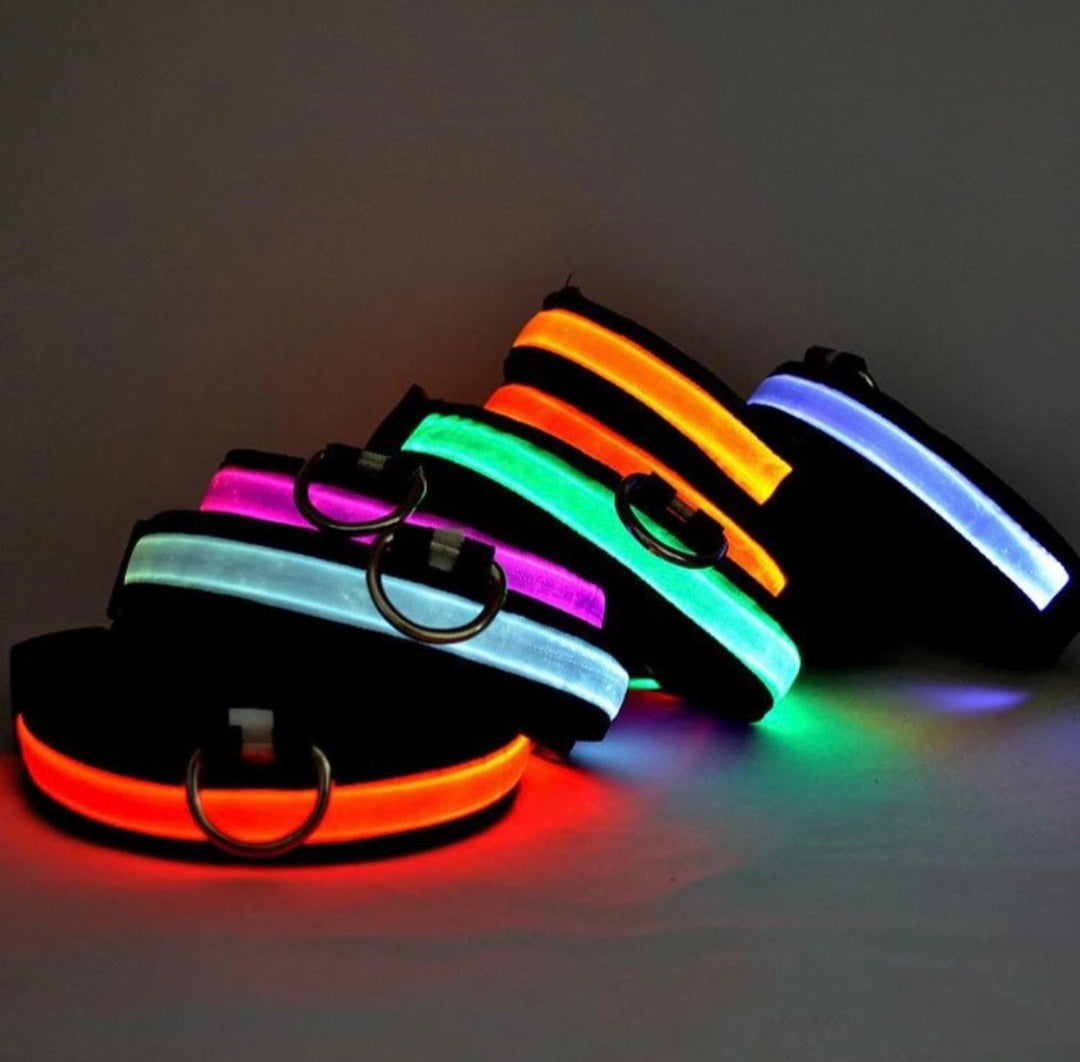 Dog Glow Collar